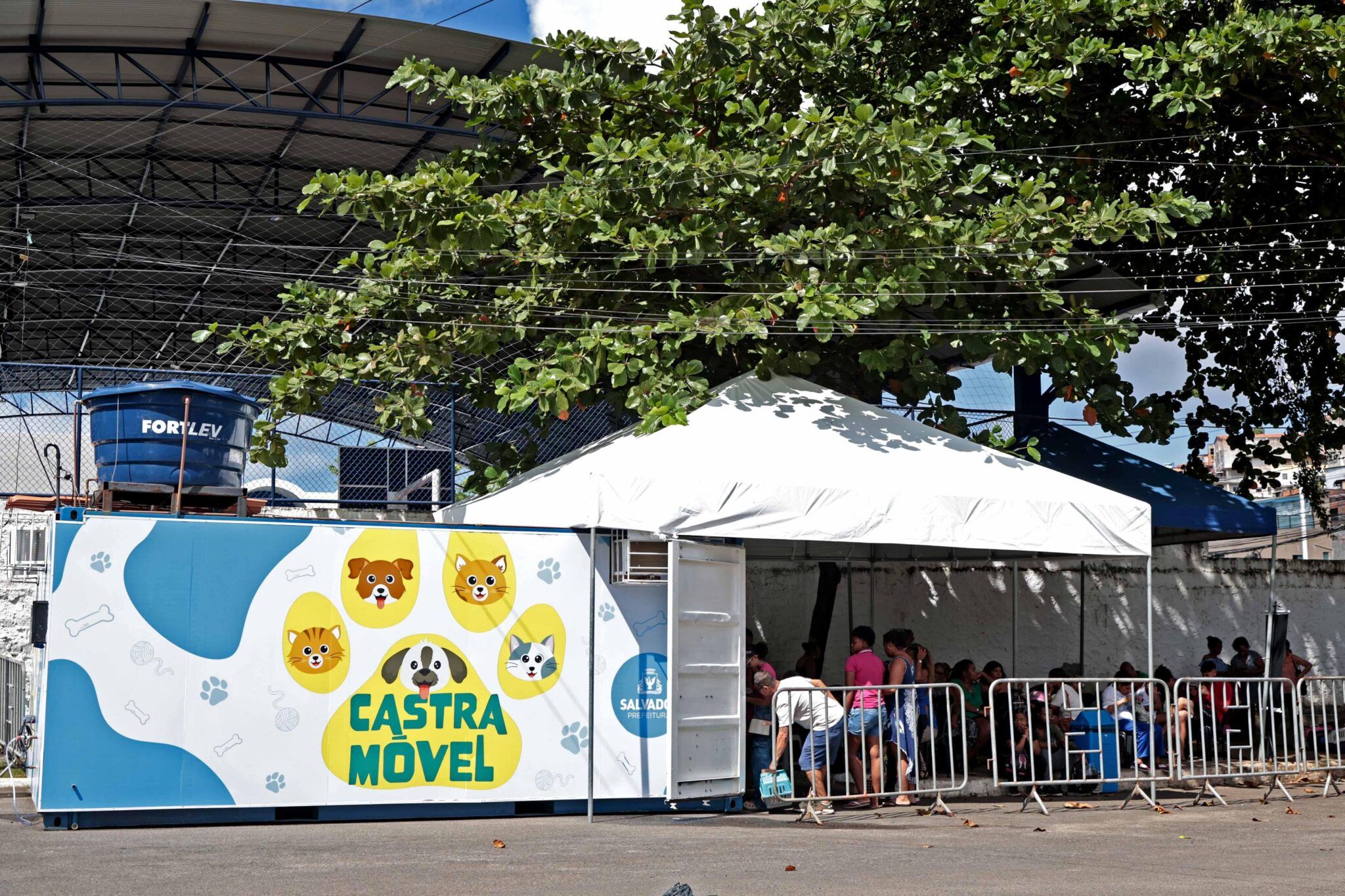 Castramovel. Foto: Bruno Concha 