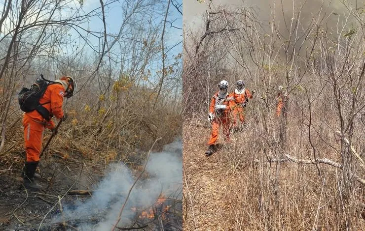 Bombeiros seguem no combate a incêndios em regiões da Bahia e do Piauí