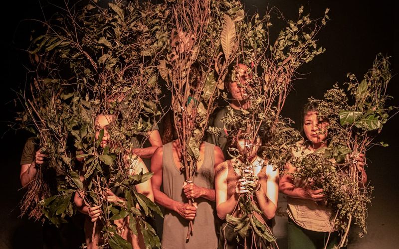 A proposta do espet&aacute;culo &eacute; criar uma experi&ecirc;ncia imersiva para o p&uacute;blico, aproximando arte contempor&acirc;nea, natureza e reflex&atilde;o ambiental/Foto: Samira Dantas