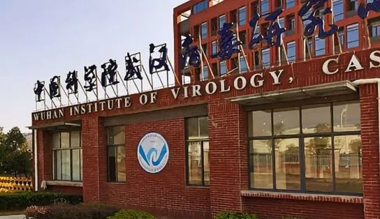 Relatório produzido nos EUA diz que três pesquisadores de Wuhan foram internados antes de surto de Covid