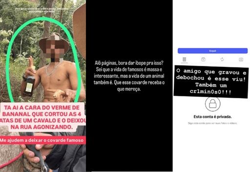 Ana Castela Pede Justiça Por Cavalo Mutilado Nas Redes Sociais