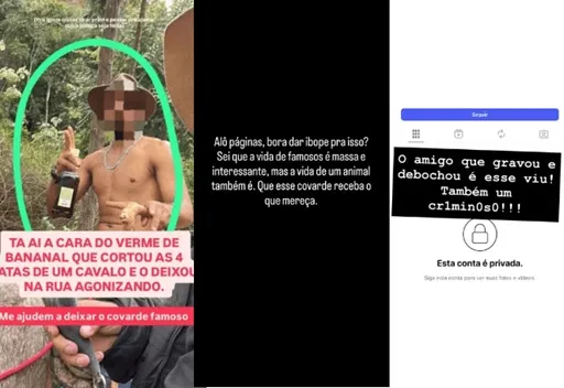 Cavalo mutilado em Bananal morreu? Saiba o que aconteceu com animal e tutor
