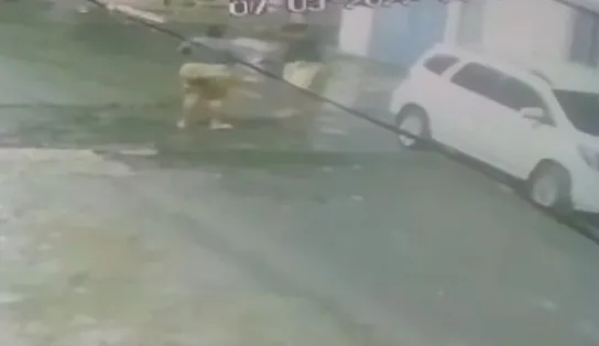 Câmera mostra momento em que mulher é executada com tiros no rosto na Fazenda Grande 2, em Salvador