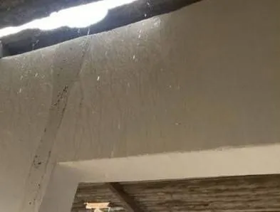 Casas destelhadas por rajadas de vento em Águas Claras recebem vistoria da Defesa Civil; veja vídeo