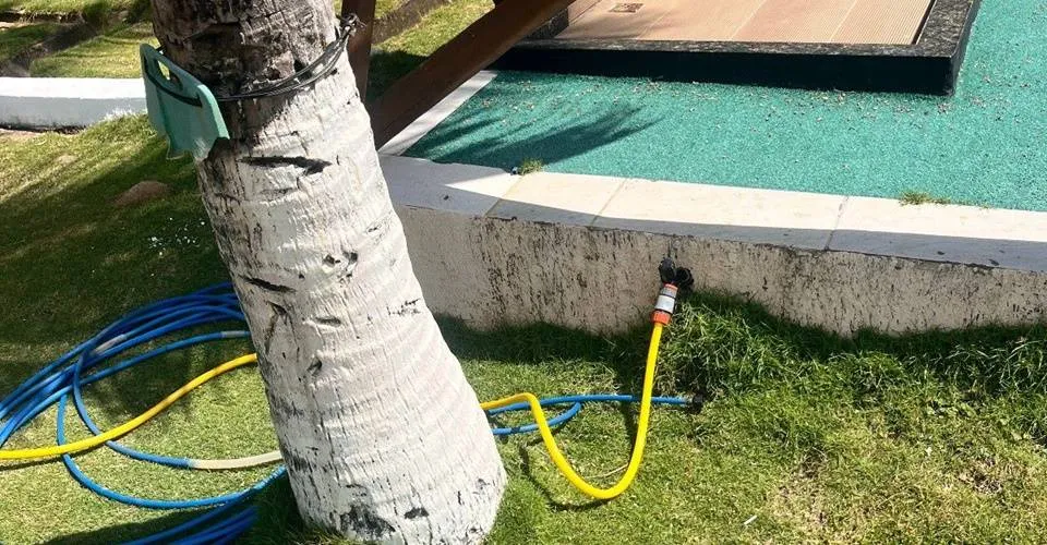 'Gato de água' é descoberto em condomínio de alto padrão, na Região Metropolitana