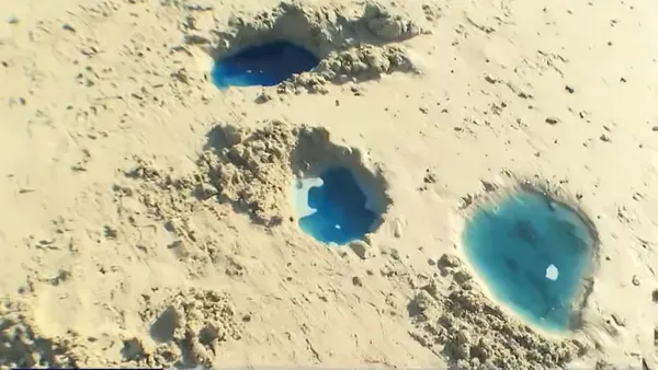 Manchas e animais mortos: caso em São Tomé de Paripe segue sem solução 