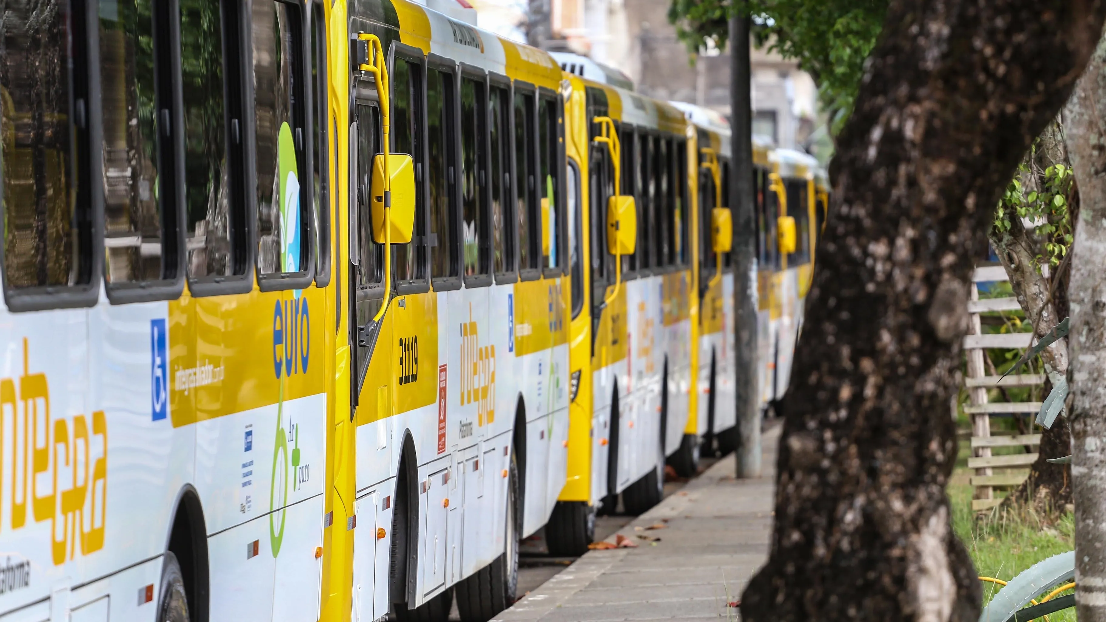 Entenda pleitos dos rodoviários e por que pode haver greve de ônibus