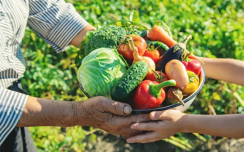 A agricultura familiar desempenha um papel crucial na Bahia, sendo um dos principais vetores de desenvolvimento social e econômico do estado/Foto: Reprodução