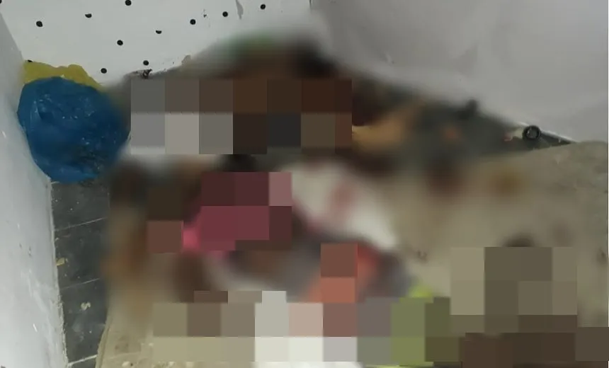 Jovem de 19 anos e dois adolescentes são vítimas de triplo homicídio em Vera Cruz