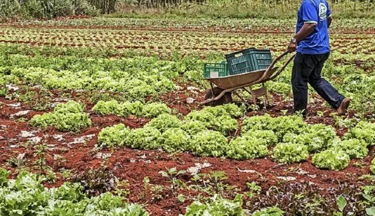 Projeto que prevê auxílio de R$ 2,5 mil para agricultores familiares é aprovado na Câmara