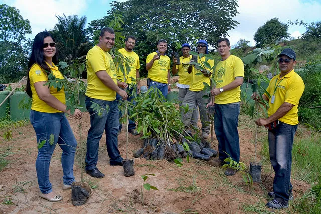 Dia do Meio Ambiente é comemorado com plantio de árvores em Lauro de Freitas