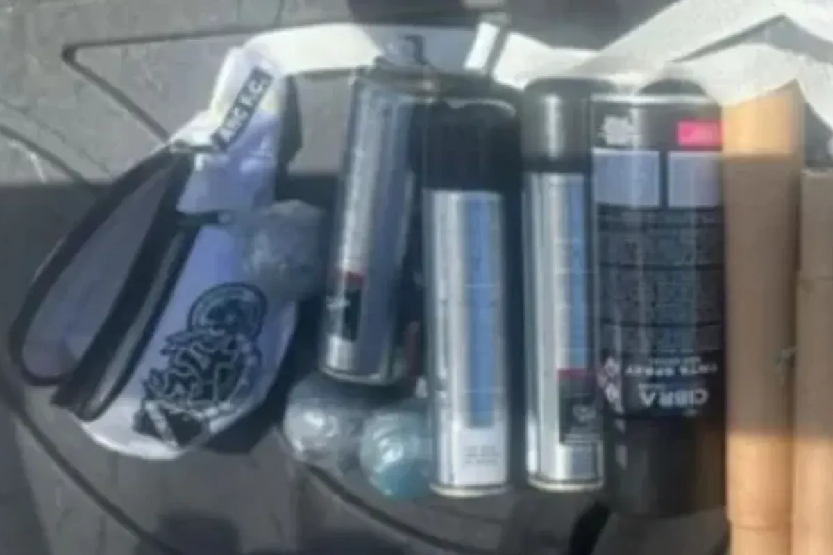 Integrantes da Bamor s&atilde;o detidos com armas brancas antes de partida do Bahia. Foto: Reprodu&ccedil;&atilde;o