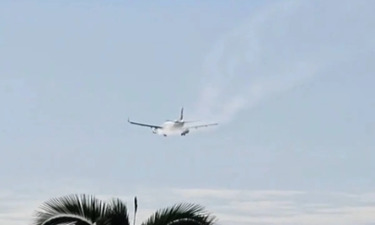 Avião que seguia para Salvador faz pouso de emergência após colisão com ave. Foto: Divulgação