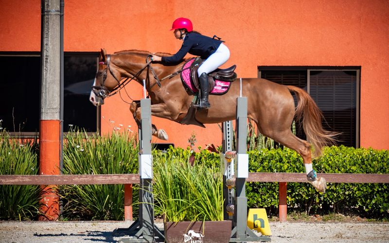 A jovem Bibi Saraiva, conhecida pelo capacete rosa, &eacute; um dos destaques do Hipismo baiano. Aos 12 anos, ela se prepara para disputar sua primeira competi&ccedil;&atilde;o internacional pela equipe brasileira/Foto: Arquivo pessoal&nbsp;