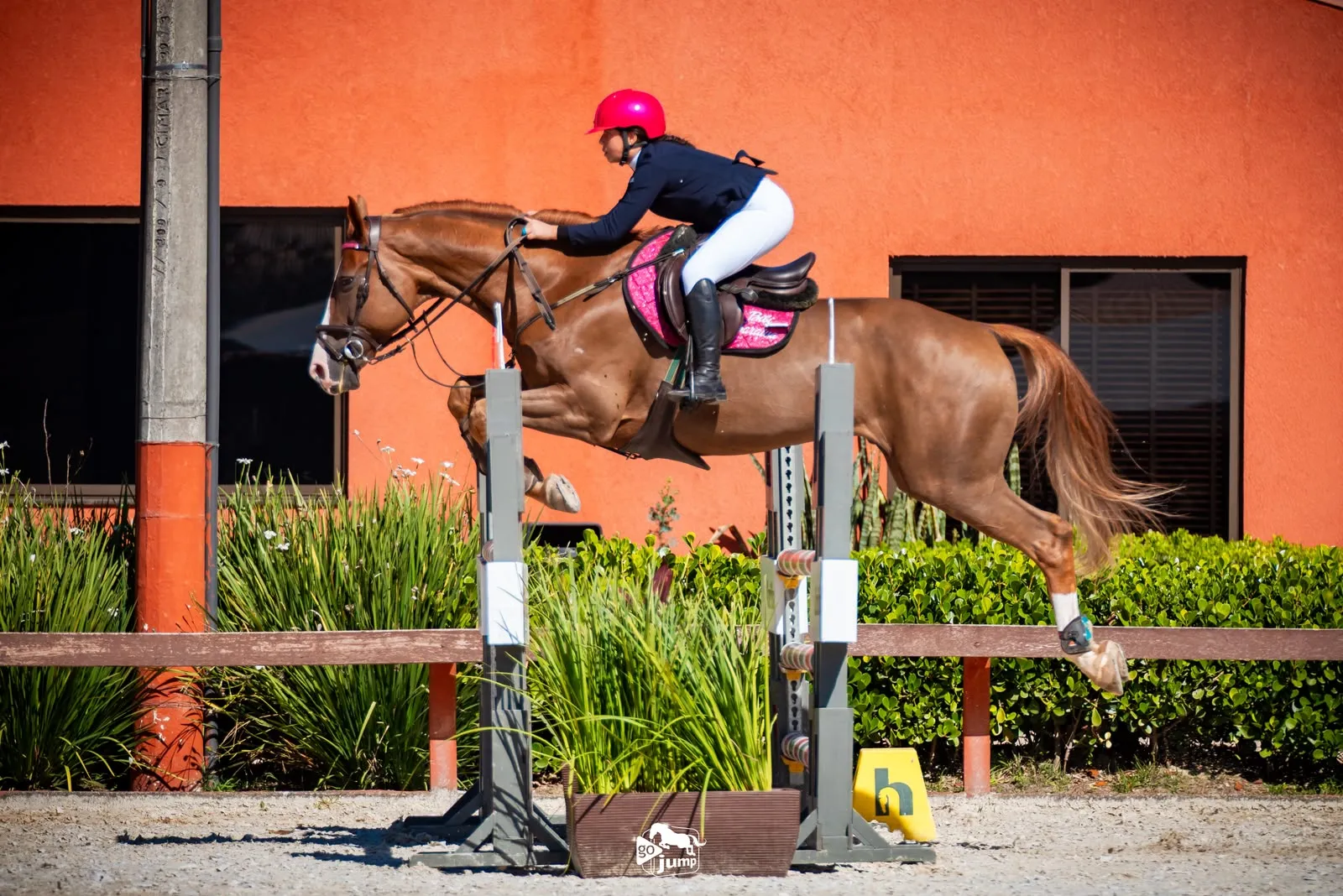 Após duas décadas, menina de 12 anos volta a levar a Bahia ao Sul-Americano de Hipismo