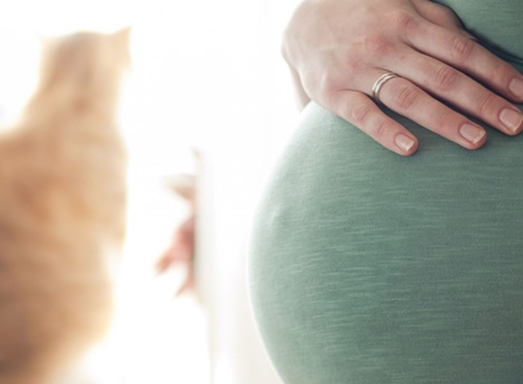 UM ANO DE MEDO: V&iacute;rus Zika mudou a forma como mulheres encaram a gravidez