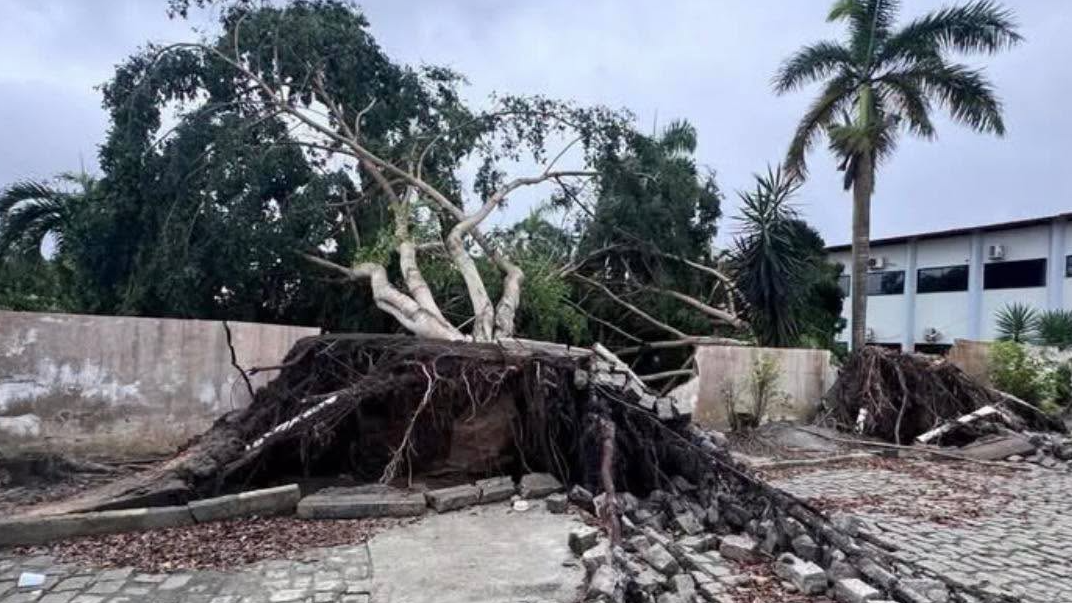 Eunápolis decretou situação de emergência após destruição causada por vendaval.| Reprodução: Redes Sociais