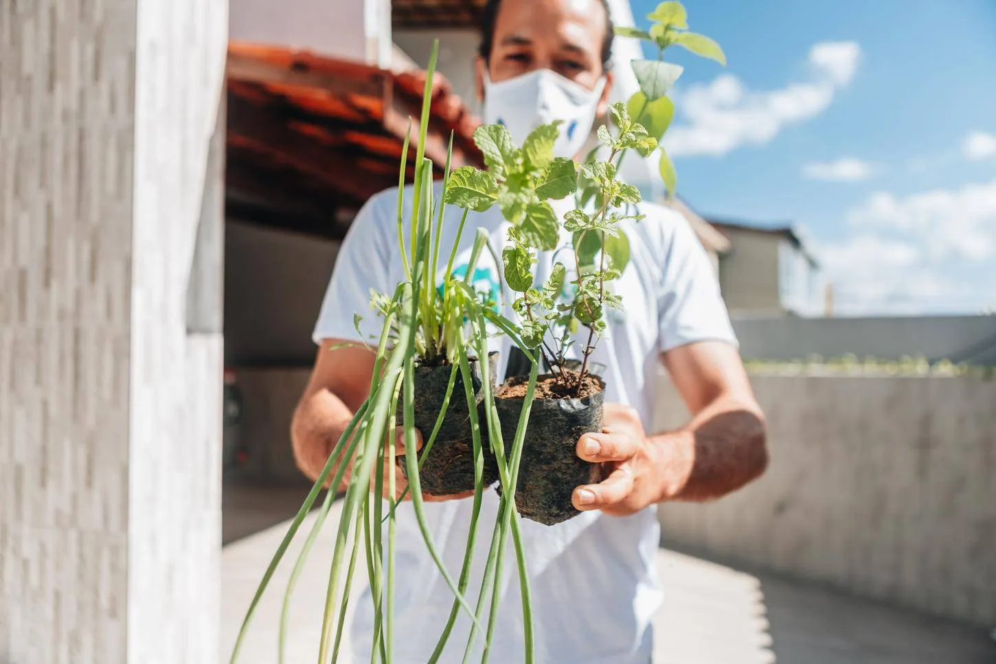 Projeto "Horta em Casa" está com inscrições abertas até este domingo; veja como participar