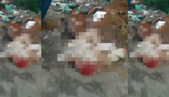 Corpo com marcas de tiros é encontrado em Periperi 