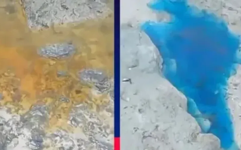 A contamina&ccedil;&atilde;o qu&iacute;mica pode reduzir popula&ccedil;&otilde;es de crust&aacute;ceos, moluscos e peixes, impactando a biodiversidade e a seguran&ccedil;a alimentar das comunidades costeiras/Foto: Reprodu&ccedil;&atilde;o&nbsp;
