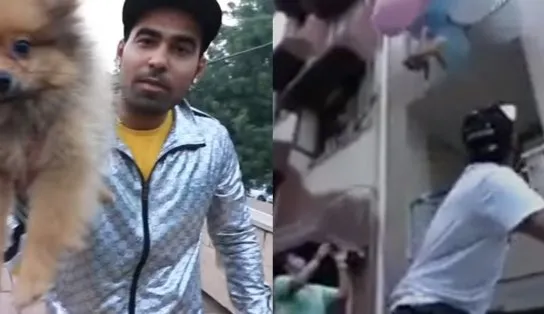 YouTuber vai para a cadeia após prender cachorro a balões e soltá-lo no ar; veja o vídeo