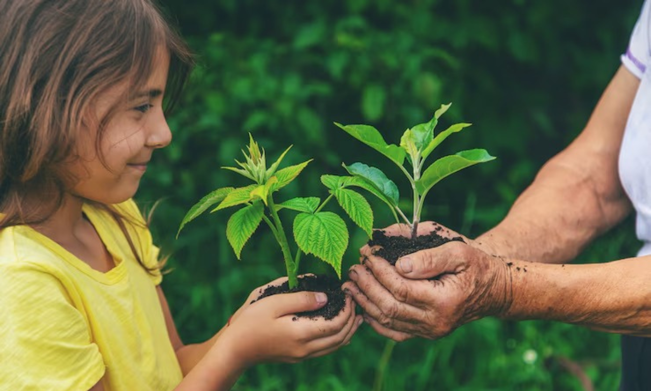 Dia Mundial da Educação Ambiental é celebrado neste domingo.Foto: Freepik