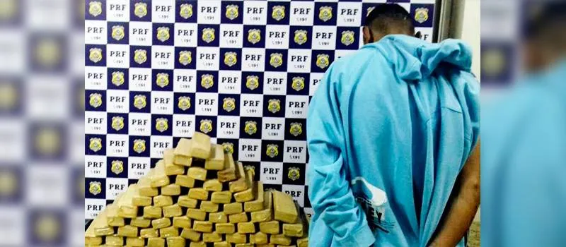 TRÁFICO: Polícia apreende 40kg de droga sendo transportada em ônibus para Sergipe