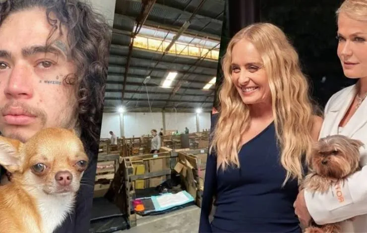 Xuxa, Whindersson e Angélica criam projeto para acolher animais resgatados no RS