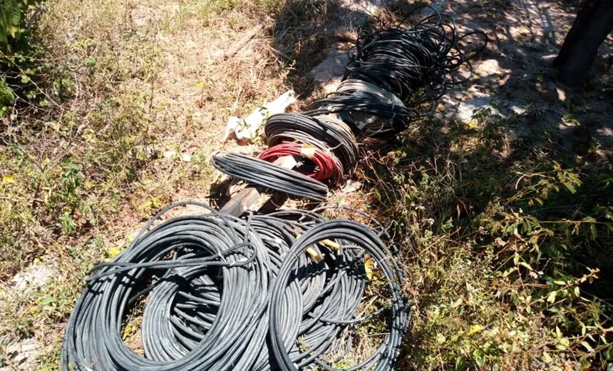 Quatro homens são detidos com cerca de 500 kg de fios no Parque da Cidade