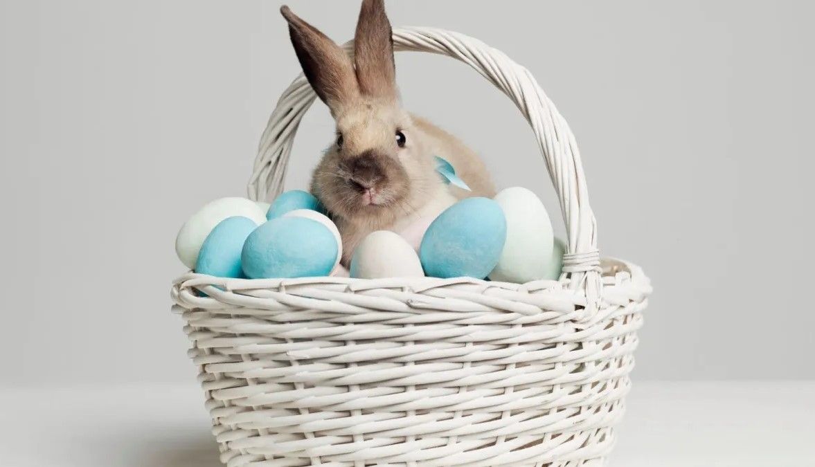 P&aacute;scoa. Foto: Ilustrativa