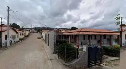 Após repercussão negativa, prefeitura de Cravolândia muda decreto que autorizava abate de animais de rua