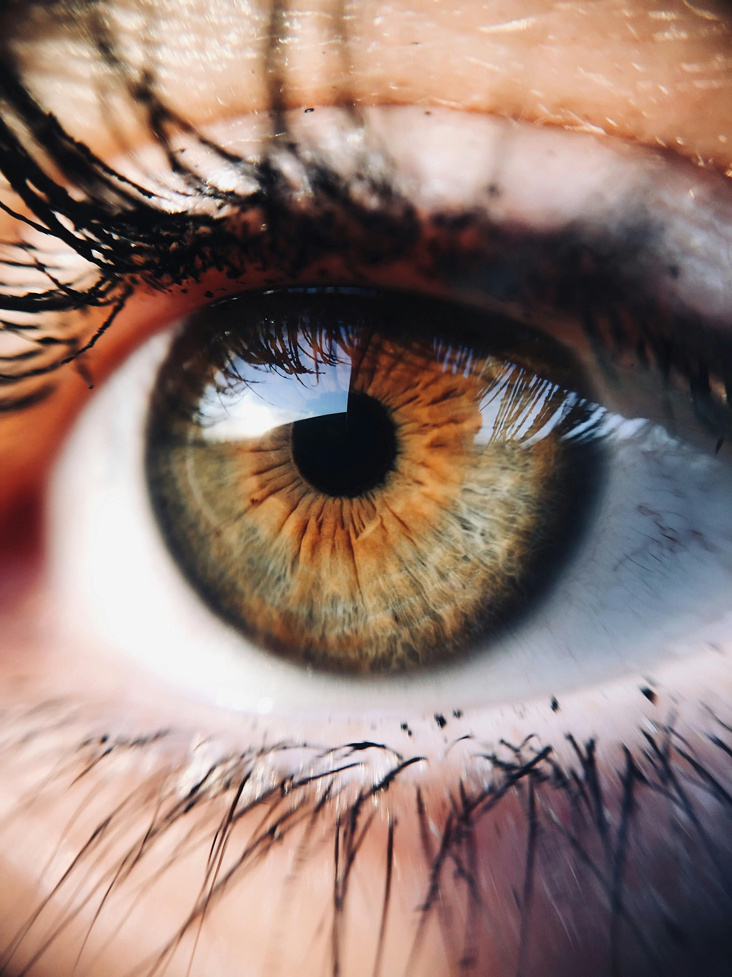 Olhos âmbar são mais comuns em partes da Ásia e América do Sul. | Foto: Ilustrativa/Pexels