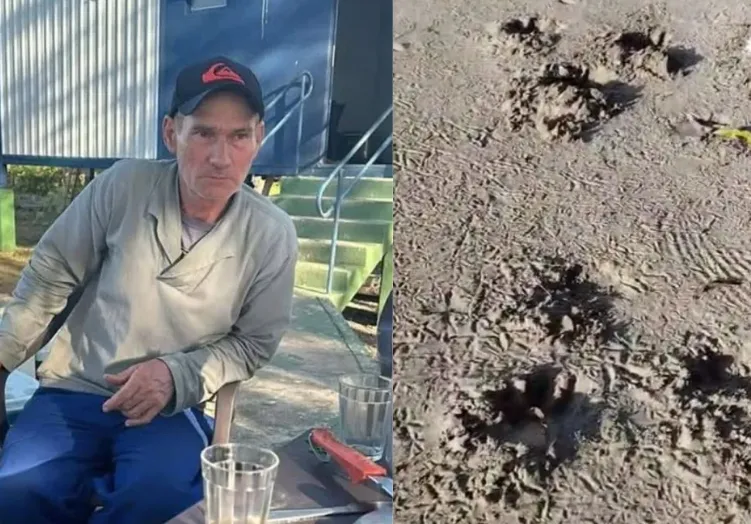 Onça ataca e mata caseiro em área isolada no Mato Grosso do Sul