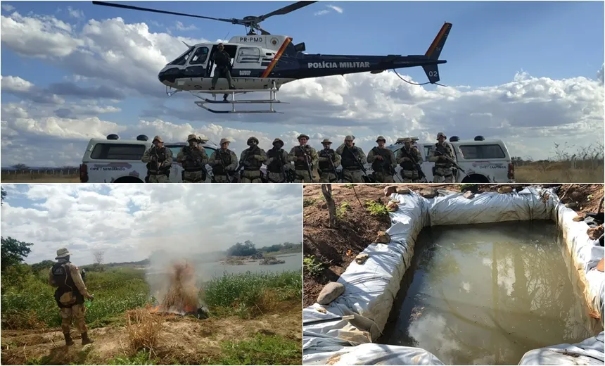 Operação policial encontra cerca de 12 toneladas de maconha no sertão baiano