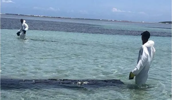 Marinha afirma que duas praias baianas ainda sofrem com manchas de óleo; saiba quais