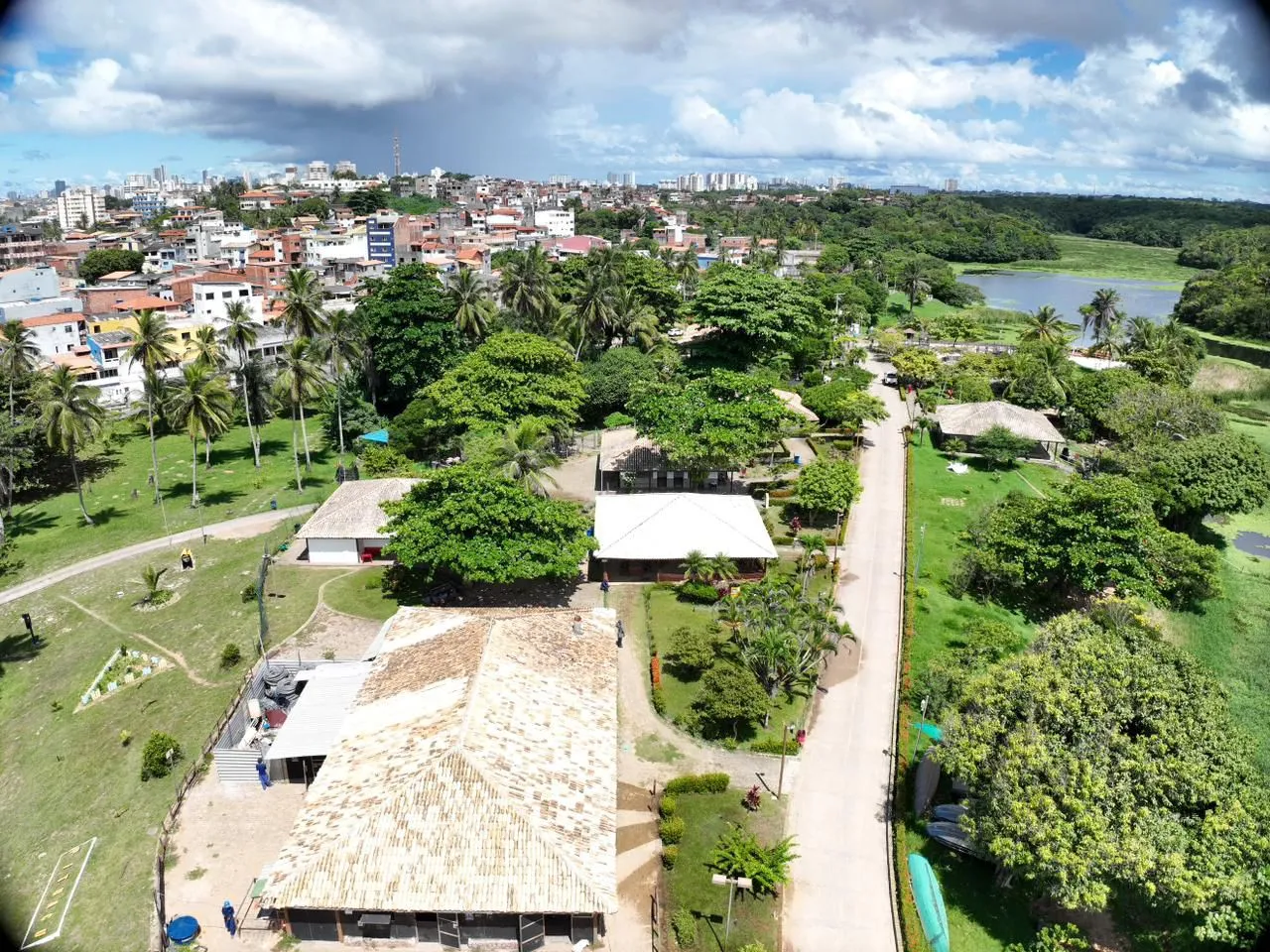 Parque de Pituaçu 