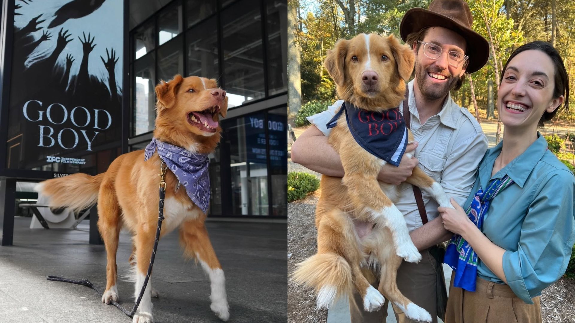 Indy com os tutores e fazendo a divulgação do filme | Fotos: reproduçaõ/Instagram (@goodboy.film)