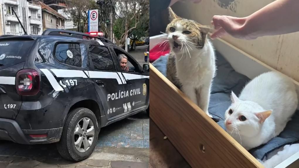 Segundo a ativista, mesmo debilitada, a ex-atriz demonstrava preocupação apenas com os animais. | Foto: Redes Sociais
