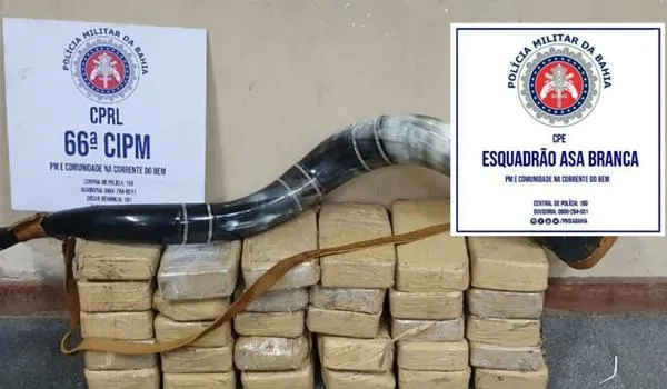 PM apreende 30 quilos de pasta base de cocaína dentro de veículo abandonado na BR-101; droga foi avaliada em R$ 750 mil 