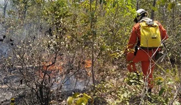 Chamas continuam avançando na Serra da Bandeira, em Barreiras; bombeiros atuam no local
