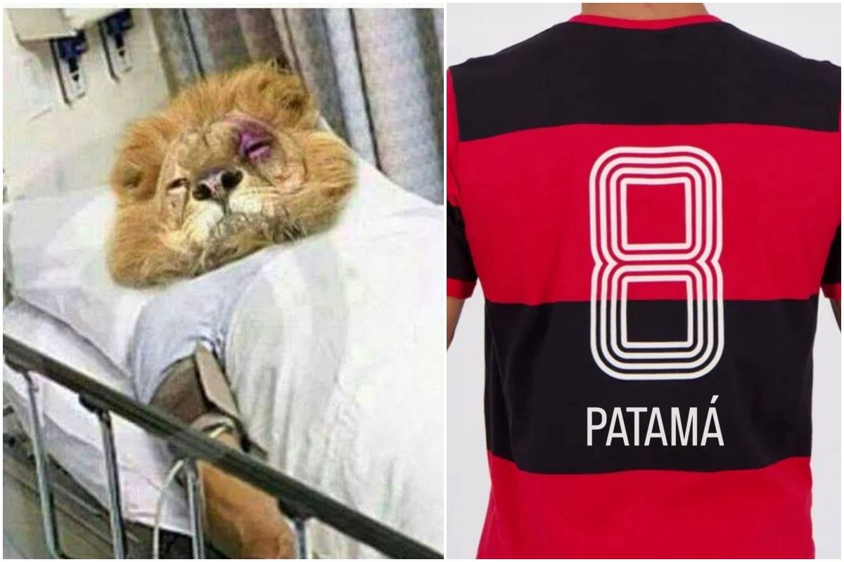 '8 patamá’ e ‘Leão na UTI’: veja memes da goleada sofrida pelo Vitória. Foto: Redes Sociais