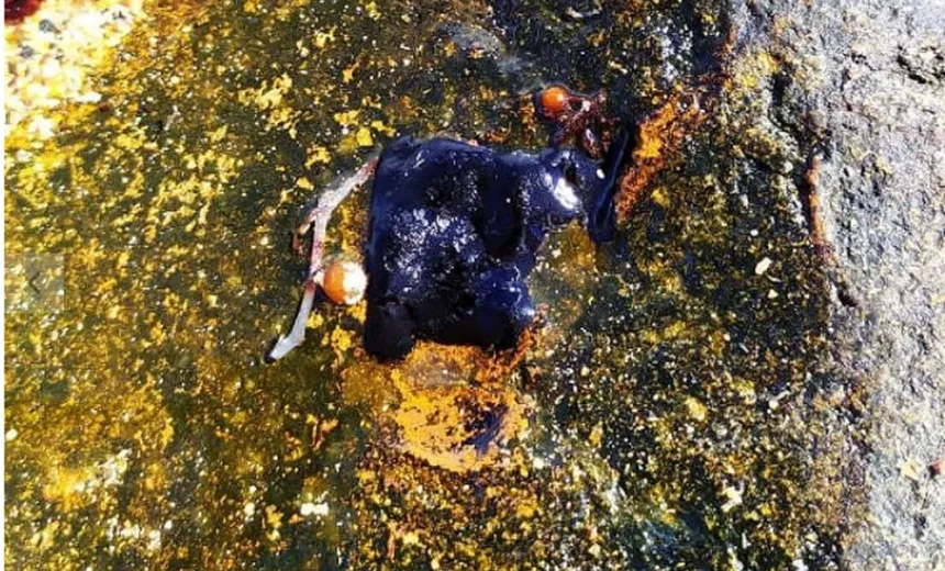 Óleo chega a Mucuri, no sul da Bahia, e fica mais perto de atingir a regão Sudeste