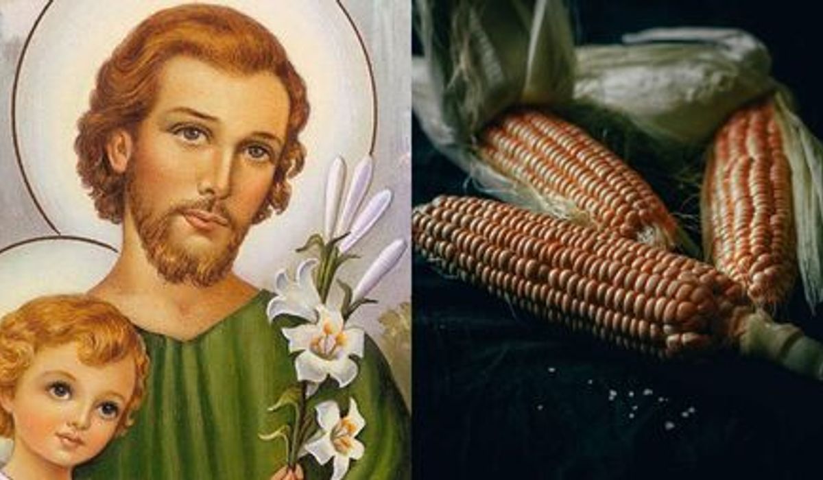 Foto: Ilustra&ccedil;&atilde;o | Pexels