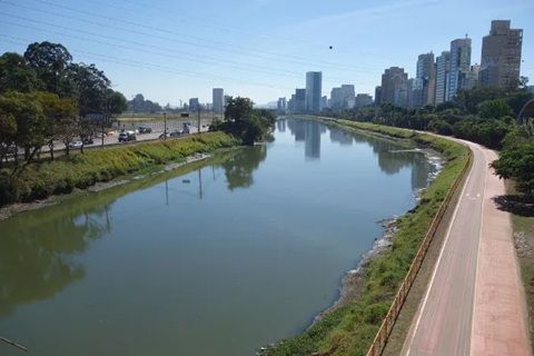 Mulher Foi Jogada No Rio Tietê