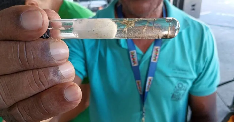 Vitória da Conquista registra novo óbito por dengue; município totaliza 4 mortes pela doença