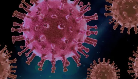 Novo tratamento com coquetel de anticorpos neutraliza variantes do coronavírus em teste pré-clínico