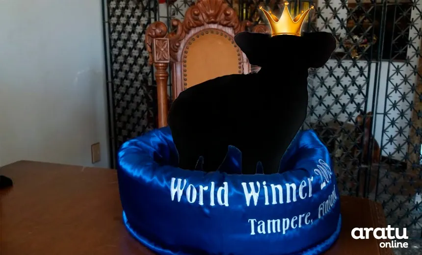 Phoenix, a miss mundo que vive em Salvador e você nem sabia