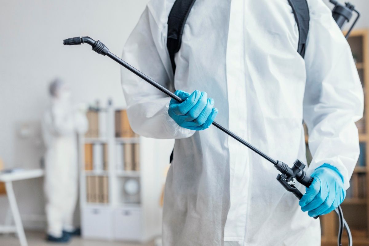 Foto: Ilustrativa/Freepik