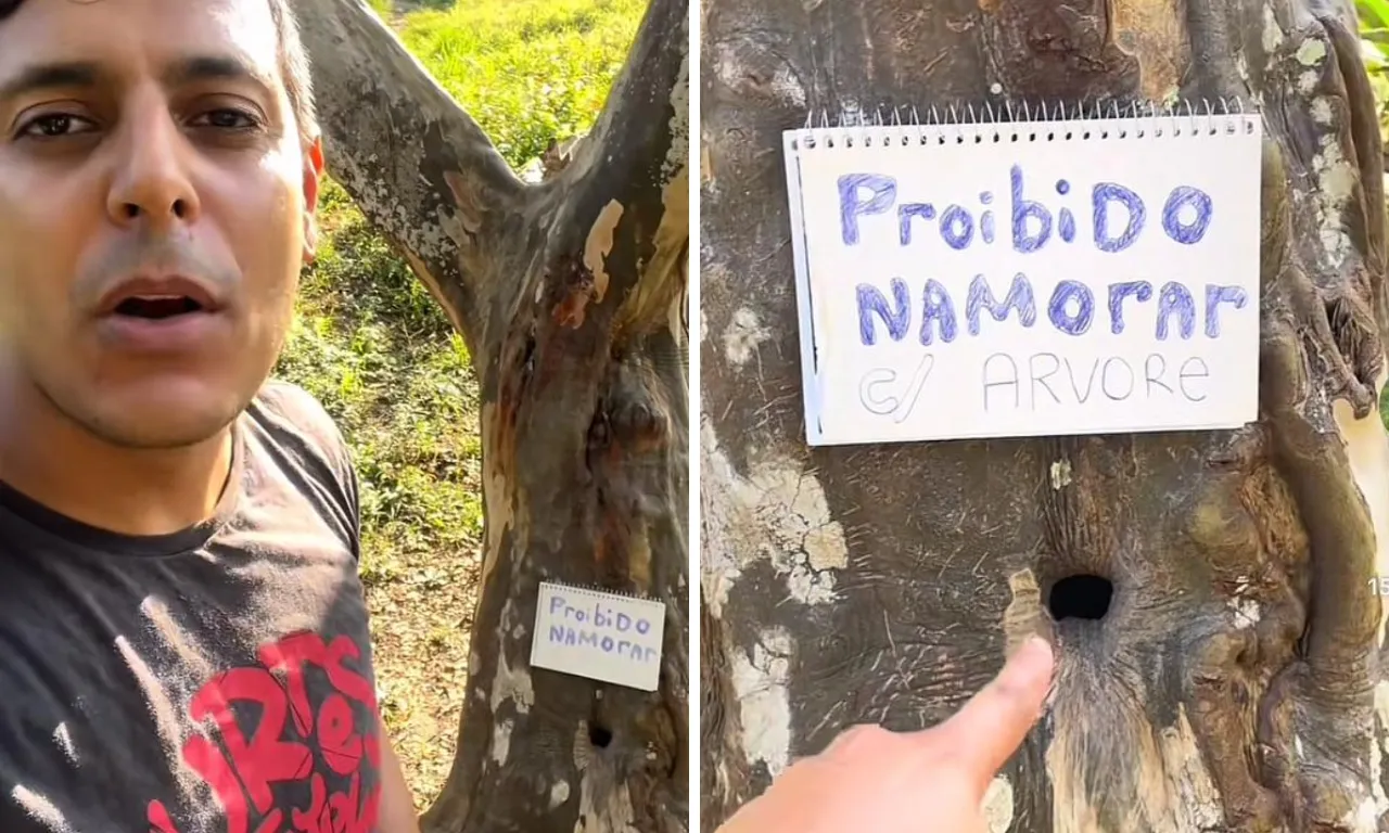 Proibido namorar