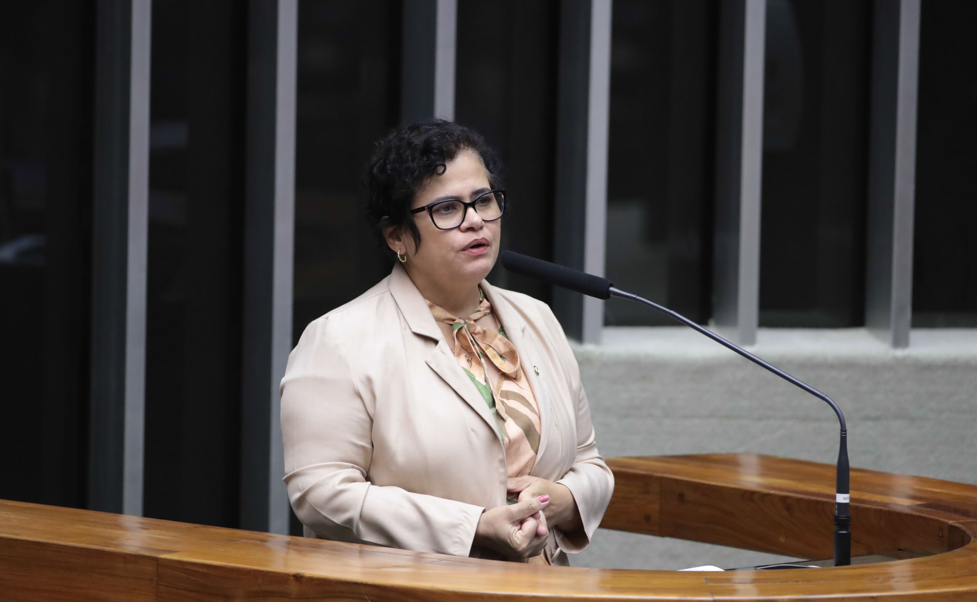 Elisângela Araújo deve substituir Josias Gomes | Foto: Bruno Spada/Câmara dos Deputados